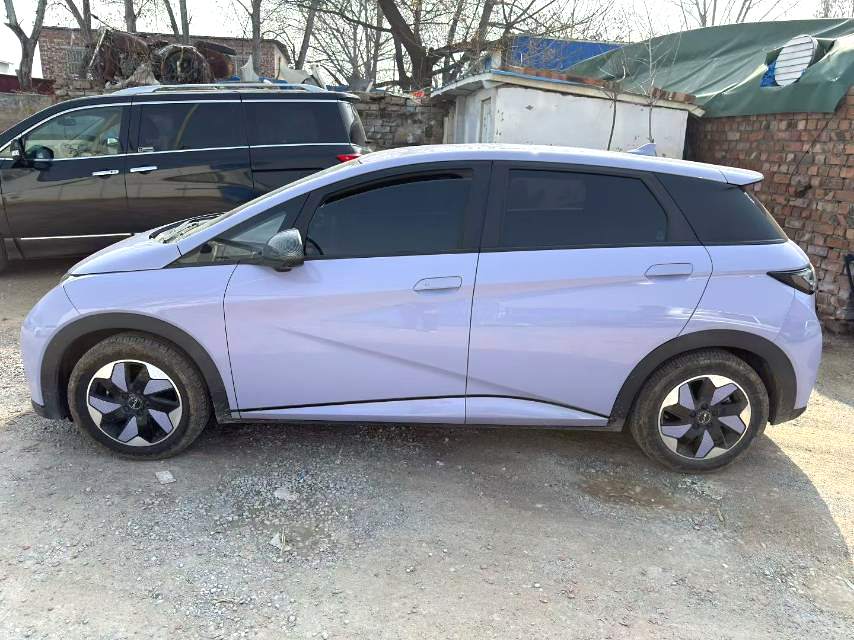 MY2025 2024 BYD Dolphin 420km Fashion Edition Chinese Car for Sale