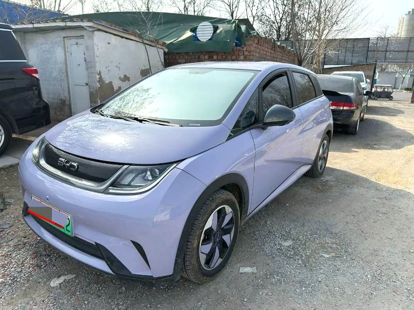 MY2025 2024 BYD Dolphin 420km Fashion Edition Chinese Car for Sale