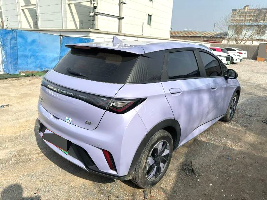 MY2025 2024 BYD Dolphin 420km Fashion Edition Chinese Car for Sale