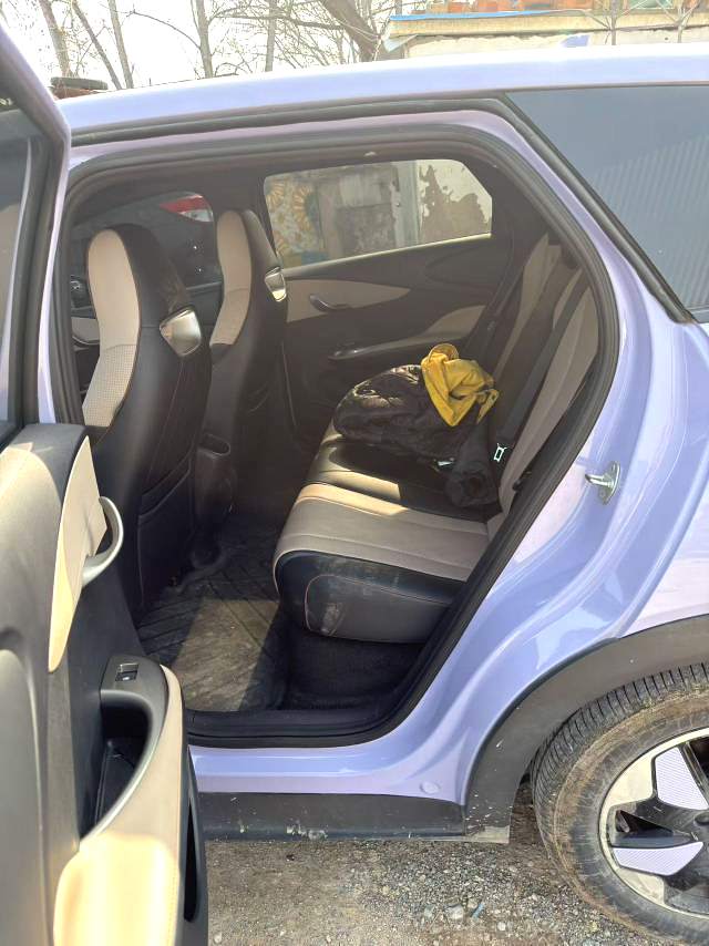 MY2025 2024 BYD Dolphin 420km Fashion Edition Chinese Car for Sale
