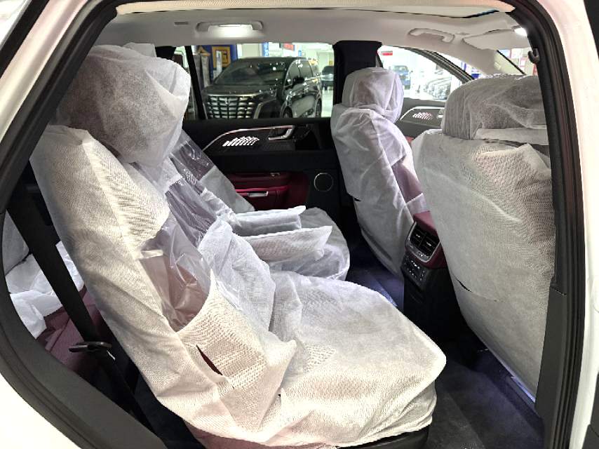 MY2025 Hongqi 2025 E-HS9 660km Flag Comfort Edition 6 seats Chinese Car