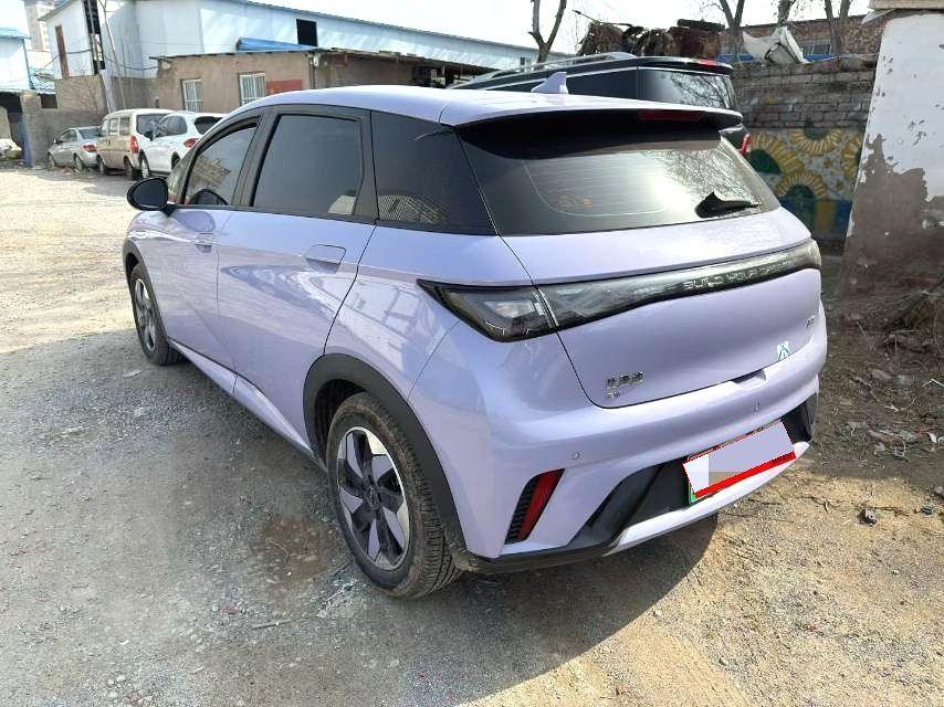 MY2025 2024 BYD Dolphin 420km Fashion Edition Chinese Car for Sale